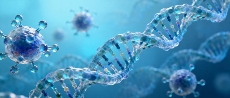 DNA与病毒结构图片