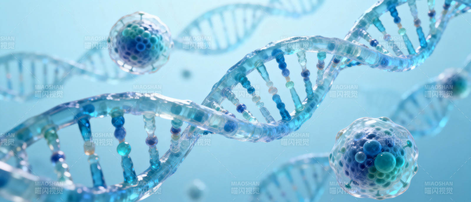 DNA双螺旋结构图片