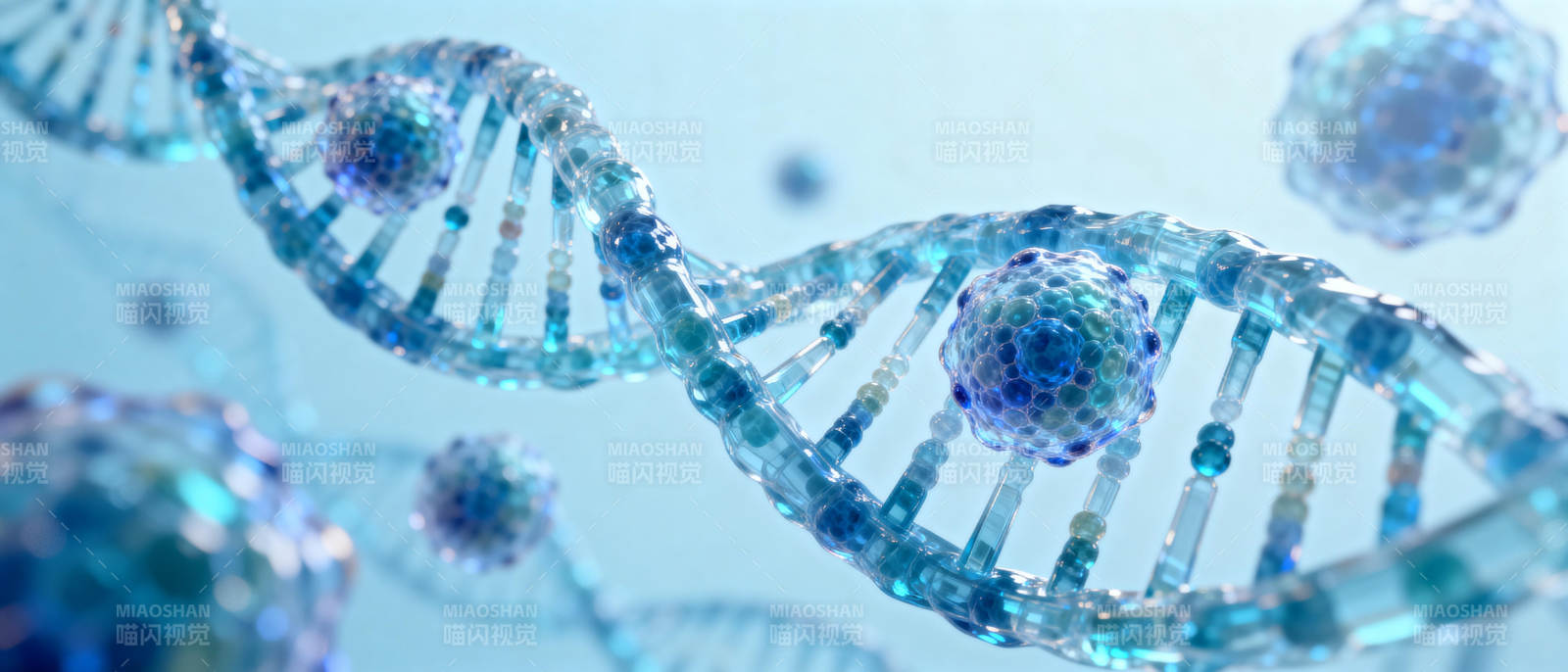 DNA双螺旋结构图片