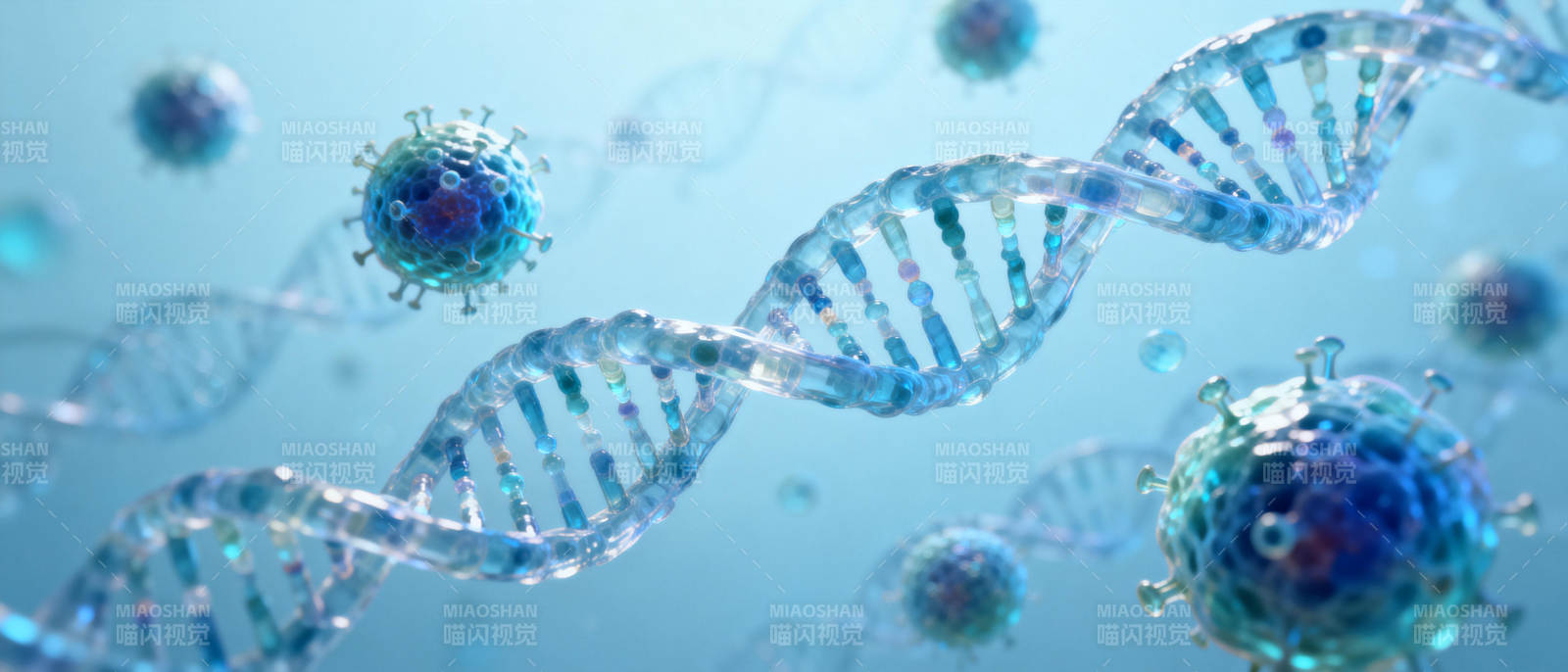 DNA与病毒共舞图片