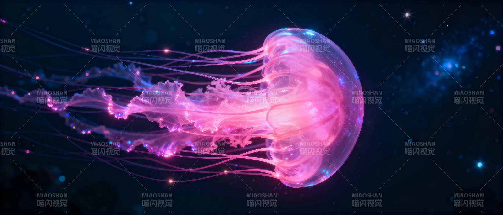 星海中的梦幻水母图片