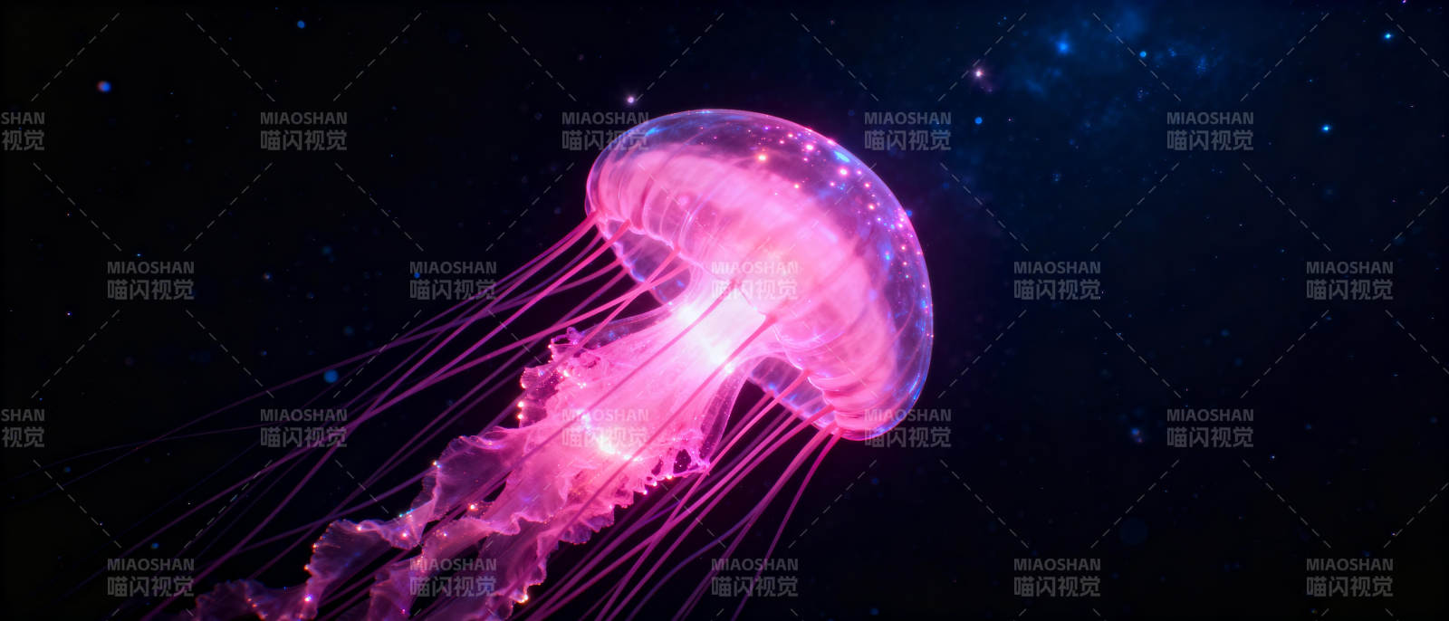 梦幻水母夜光舞图片