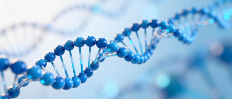 DNA双螺旋结构图片