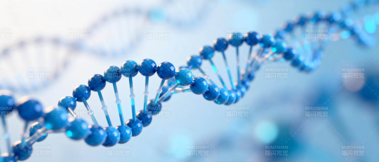 DNA双螺旋结构图片