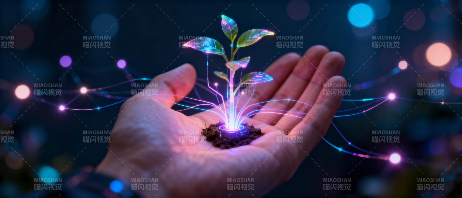 掌中发光的嫩芽图片