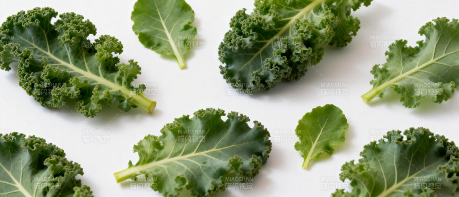 新鲜羽衣甘蓝叶图片