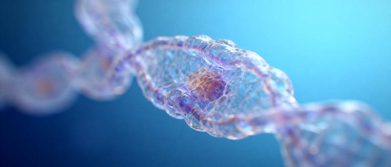 DNA双螺旋结构图片