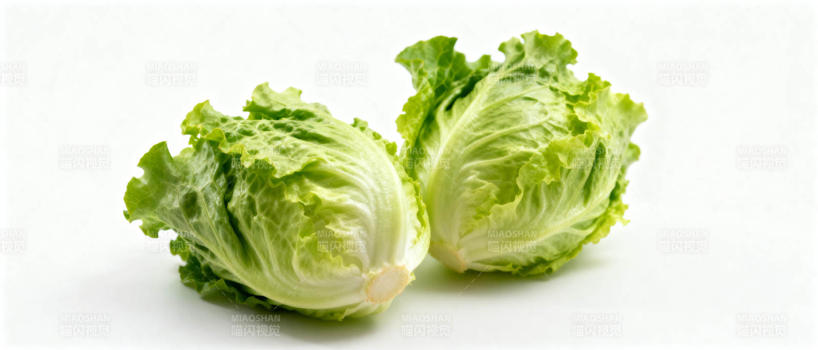 新鲜生菜两颗图片