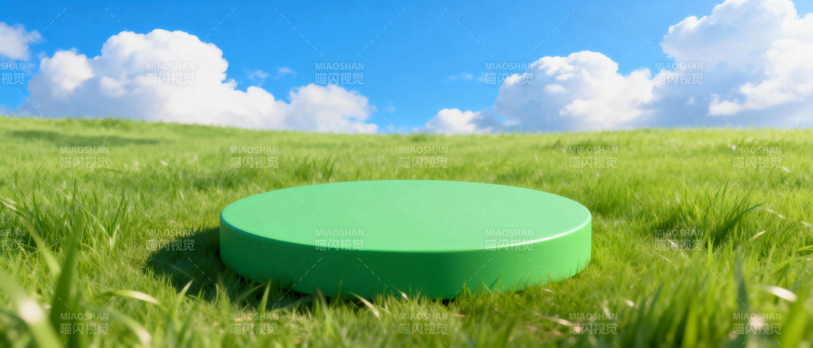 绿盘草地上图片