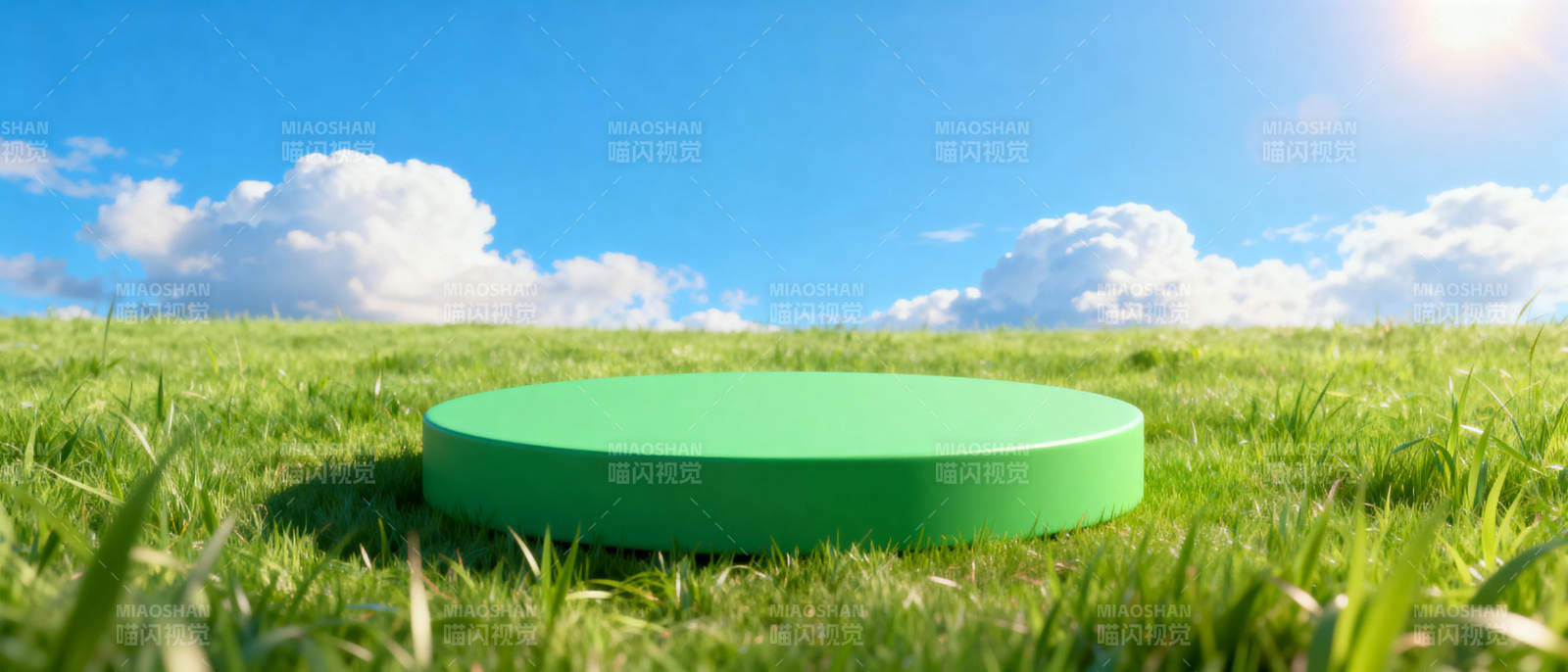 绿坪上的圆盘图片