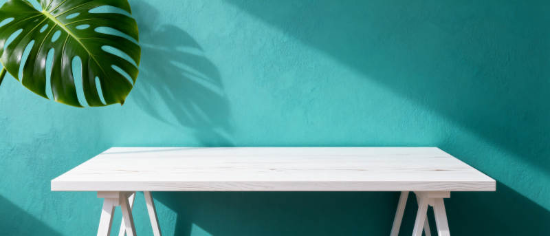 绿墙白桌光影静谧图片