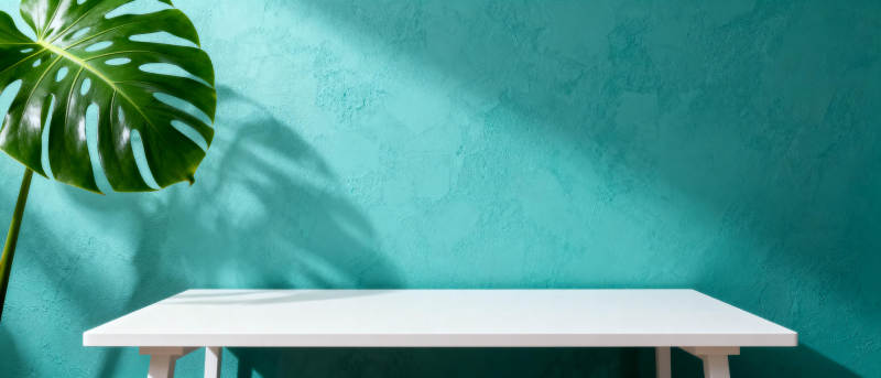 绿叶映墙 桌影清幽图片