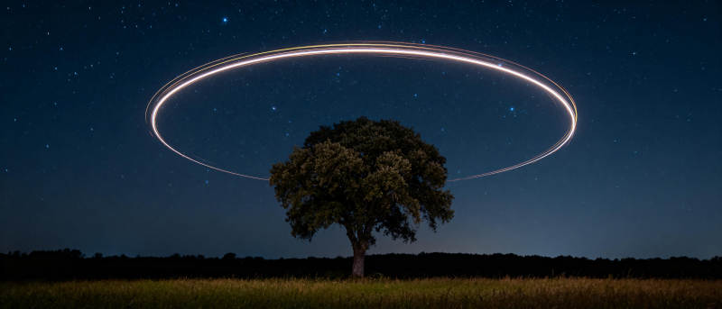 星环树影夜景图片