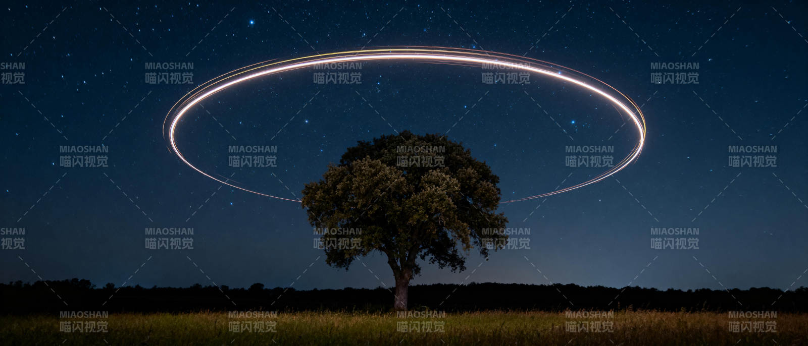 星环树影夜景图片