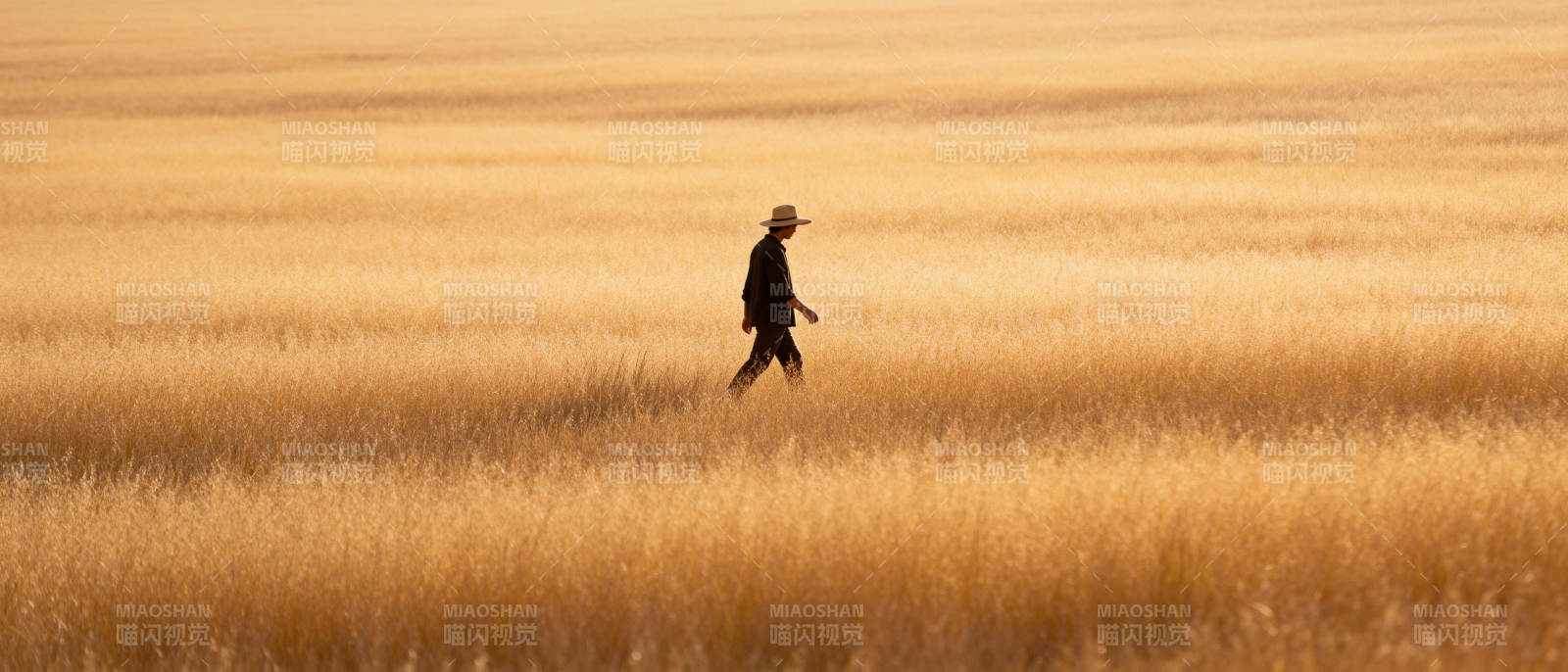 麦田行者图片