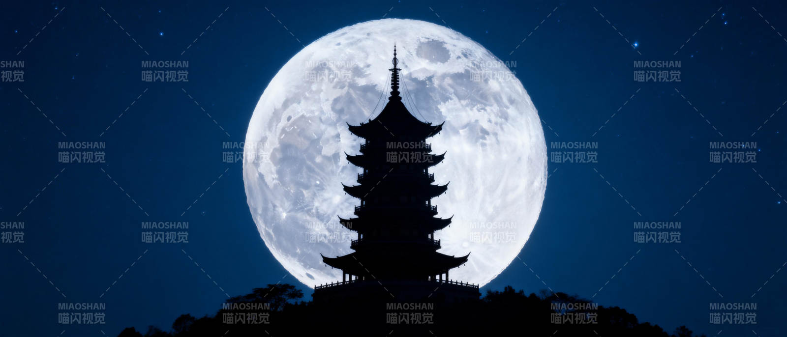 塔影映月夜图片