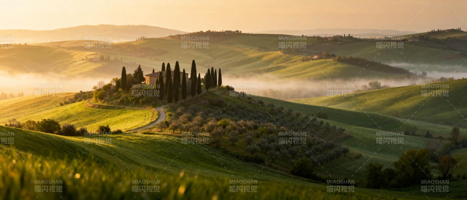 托斯卡纳晨雾田园图片