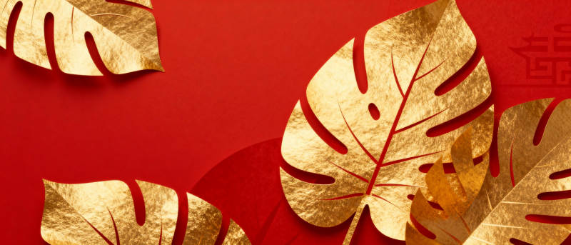 金色叶片红背景图片