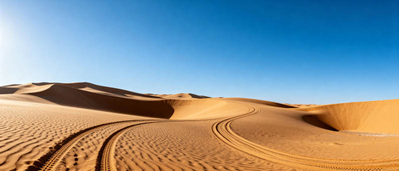 沙漠沙丘车辙图片