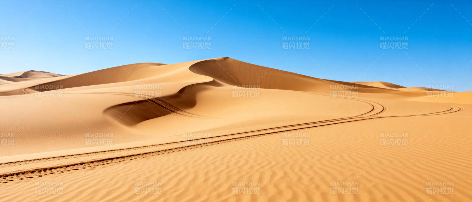 沙漠沙丘与车辙图片