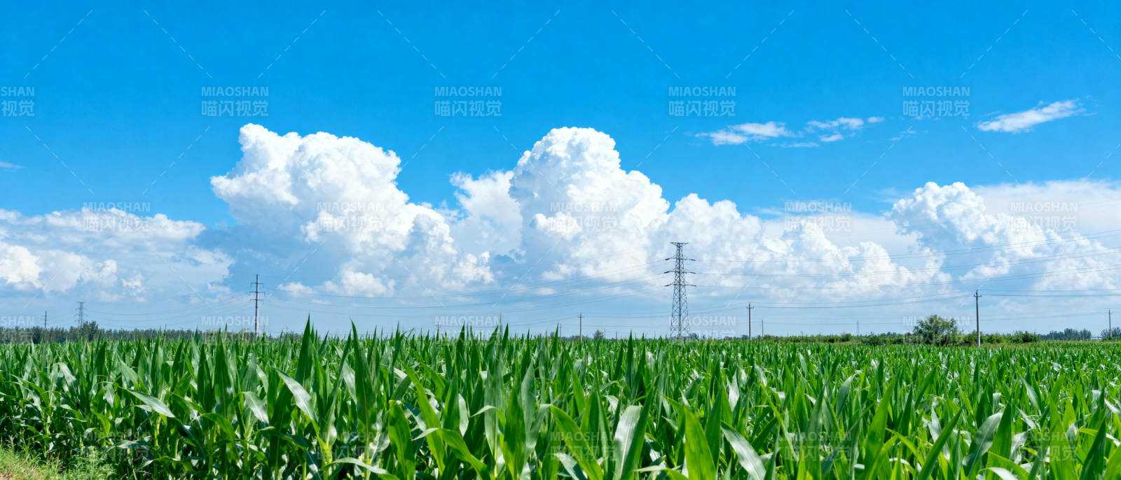 绿野蓝天 云卷云舒图片