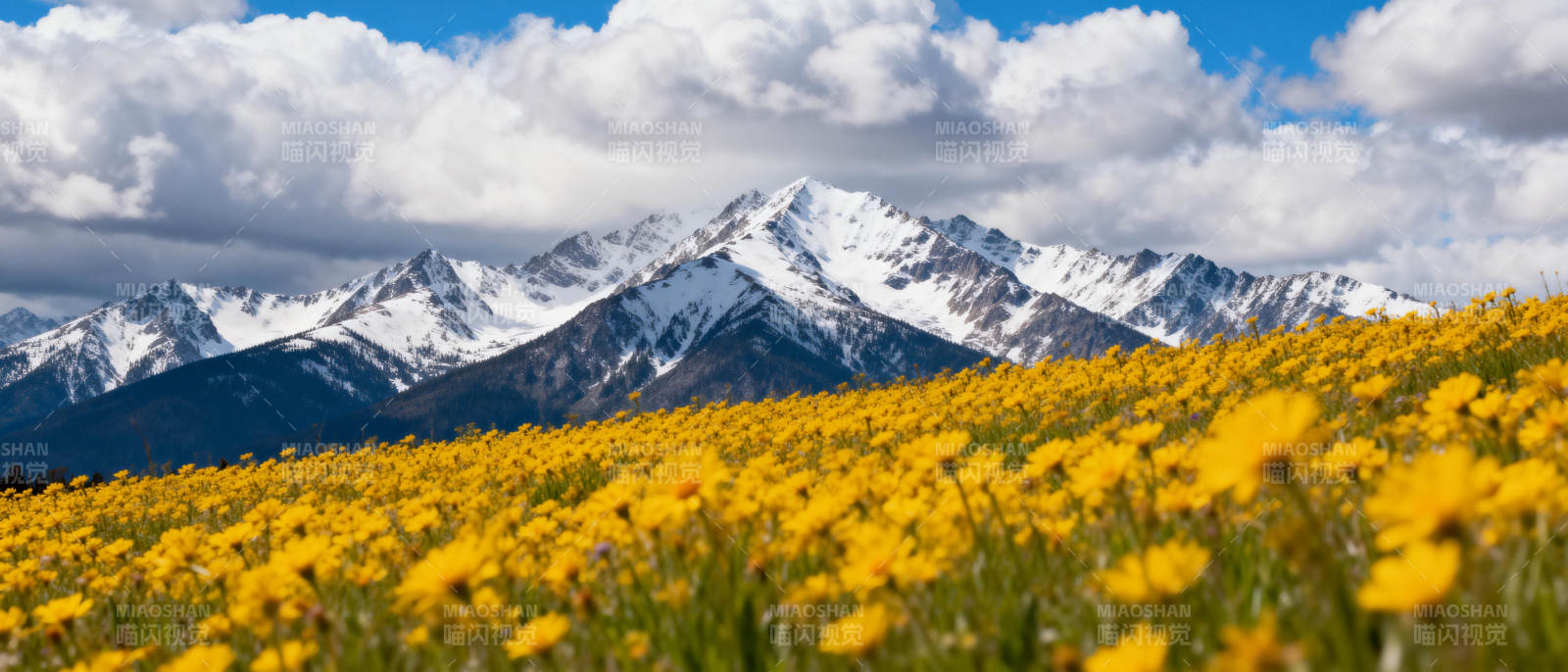 雪山下的金花海图片