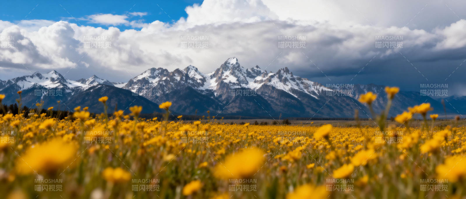 雪山下的金花海图片