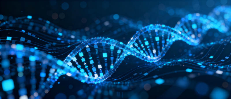 DNA双螺旋结构图片