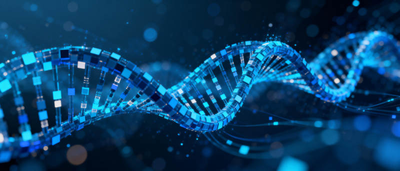 基因双螺旋结构图片
