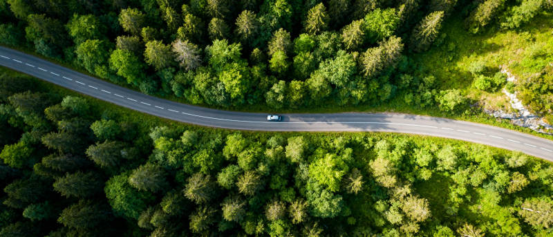 林间公路航拍图片