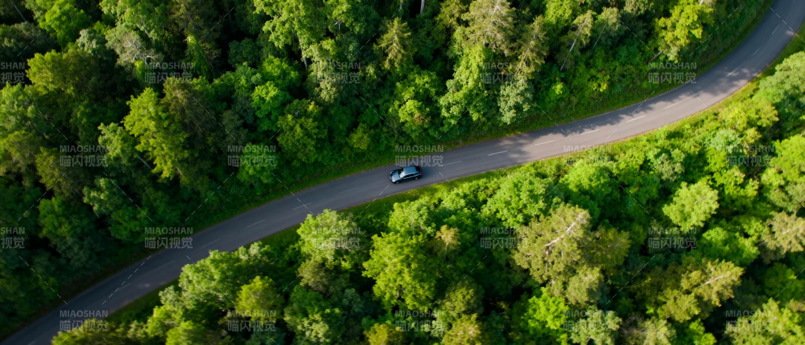 林间蜿蜒路车行图片