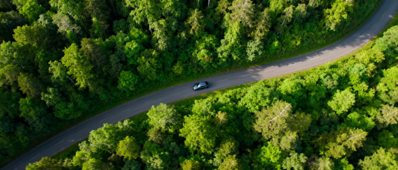 林间蜿蜒路车行图片