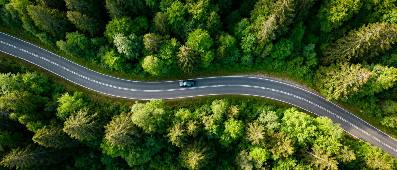 林间蜿蜒公路图片