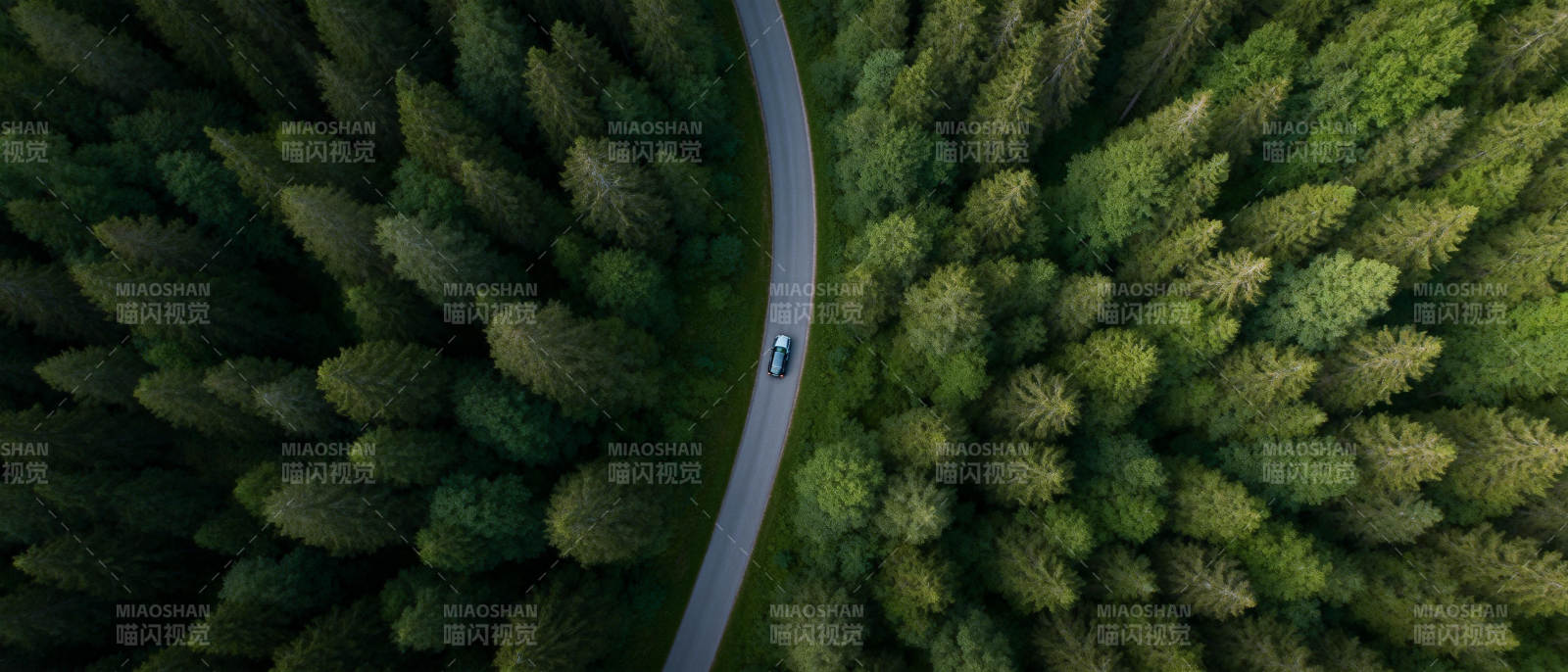 林间小路车行图图片