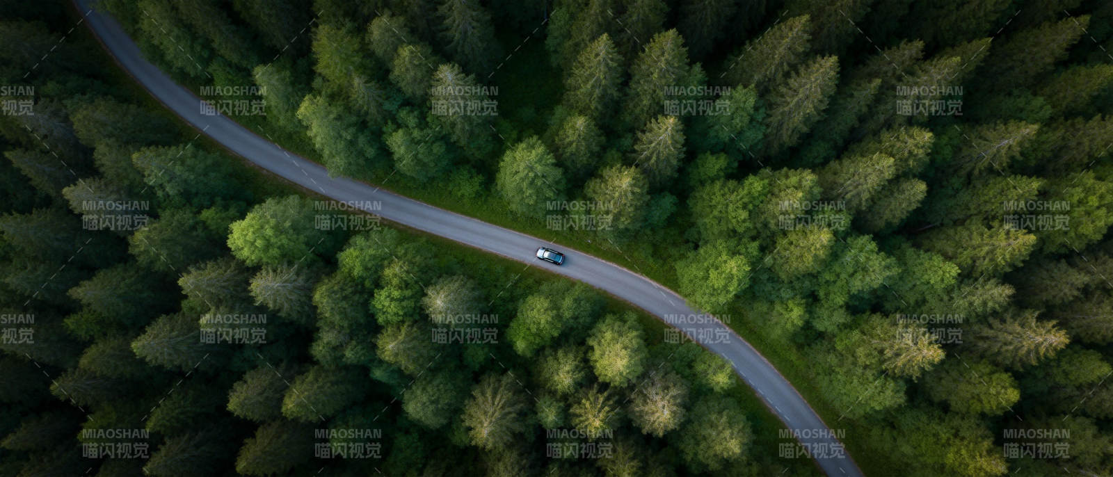 林间蜿蜒路图片