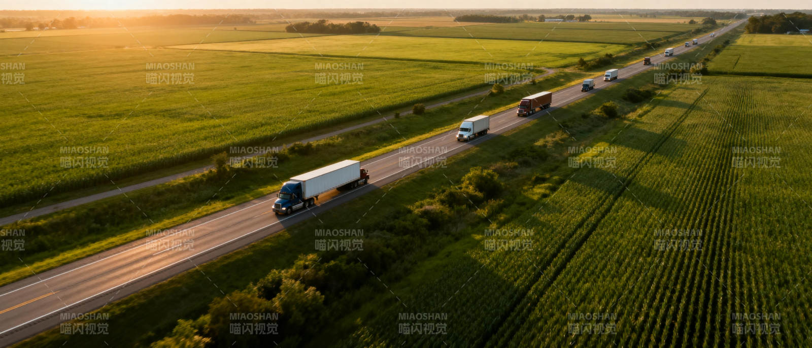 公路旁的金色田野图片