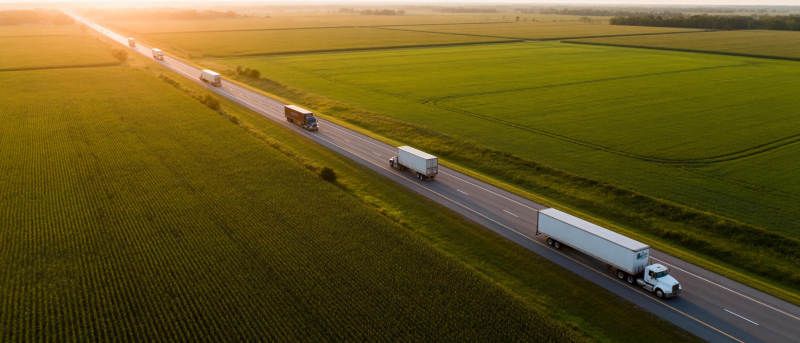 公路穿行绿野间图片