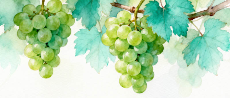 青葡萄与绿叶图片