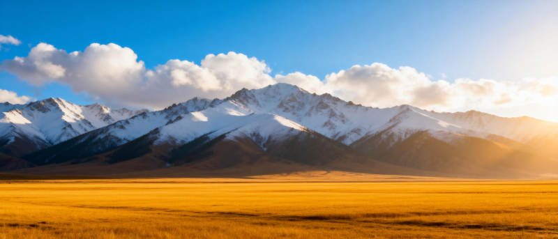 雪山金原图片