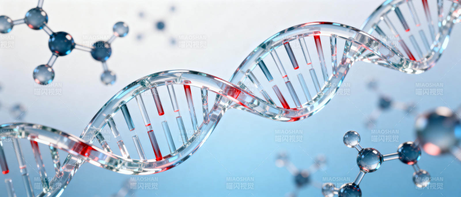 DNA双螺旋结构图片