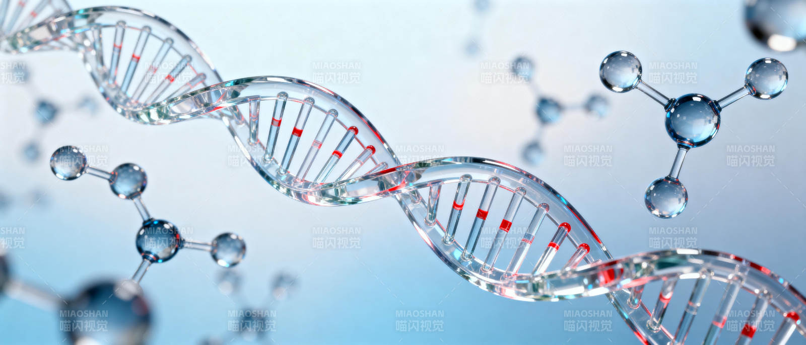 DNA双螺旋结构图片