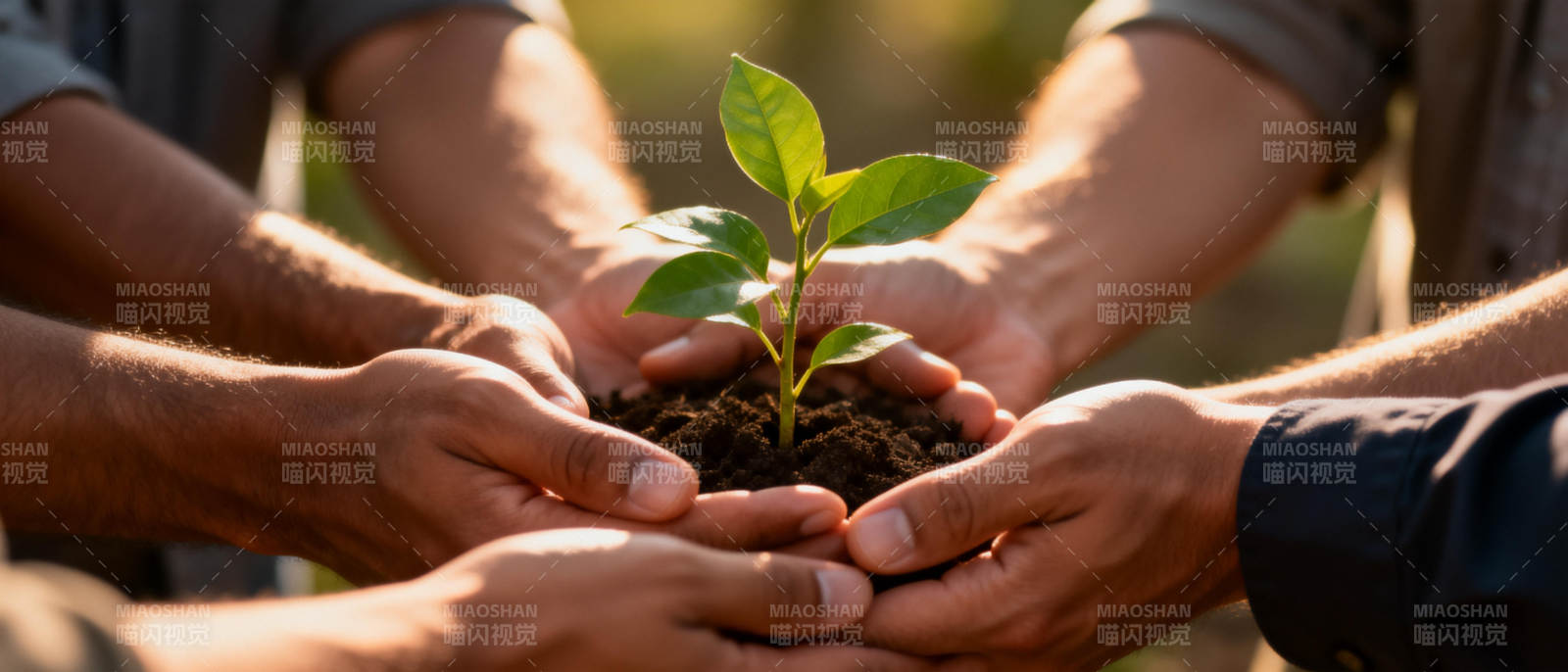 携手共护新绿图片