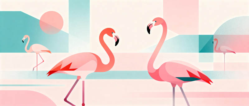 粉红火烈鸟图片