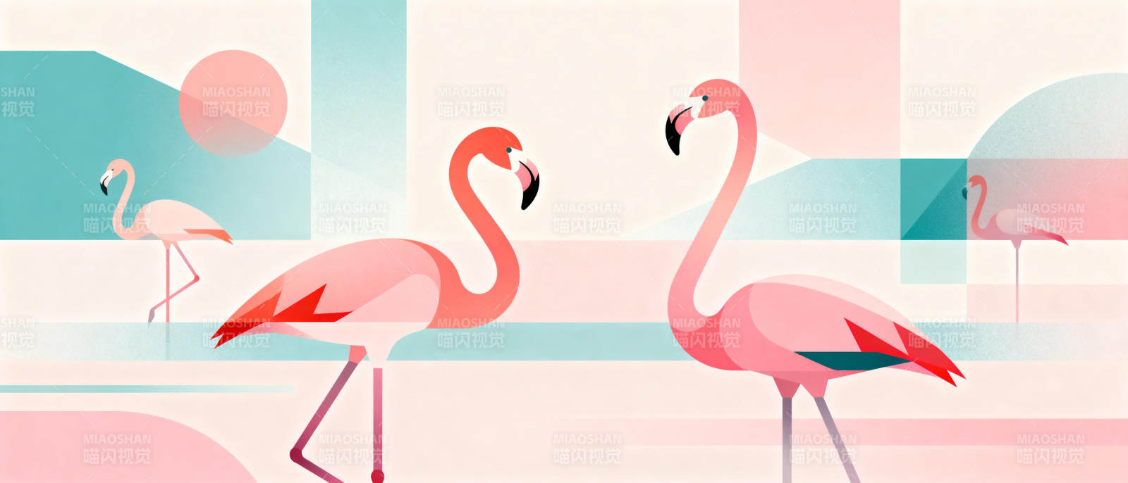 粉红火烈鸟图片