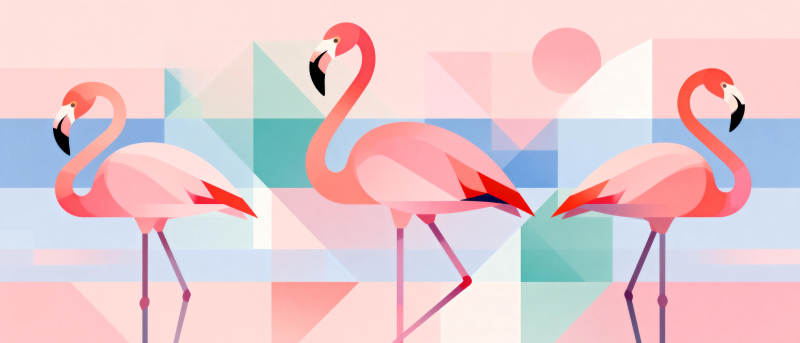 粉红火烈鸟图片