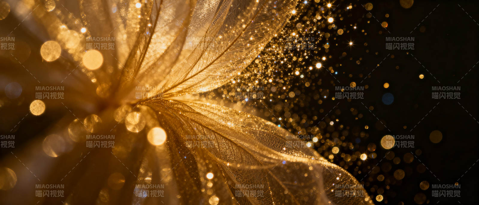 金色羽翼闪耀光芒图片