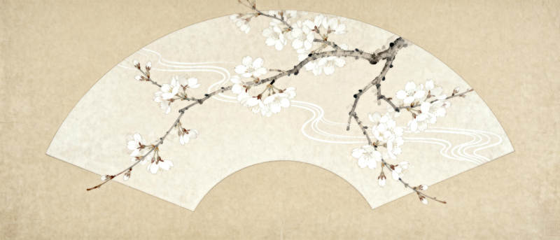 樱花扇影图片
