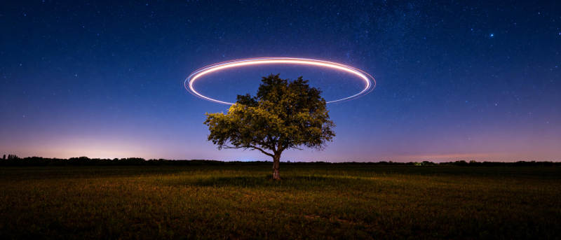 星夜树影环光图片