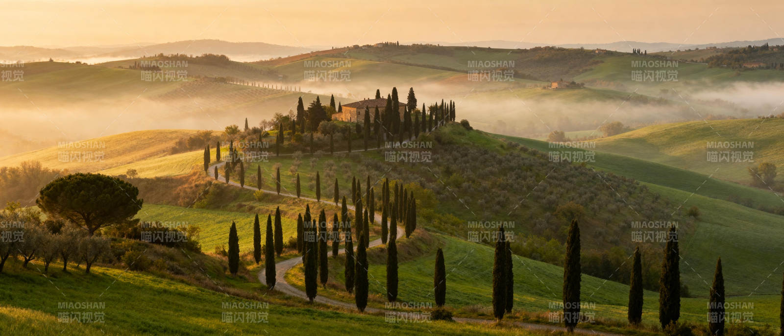 晨雾中的托斯卡纳图片