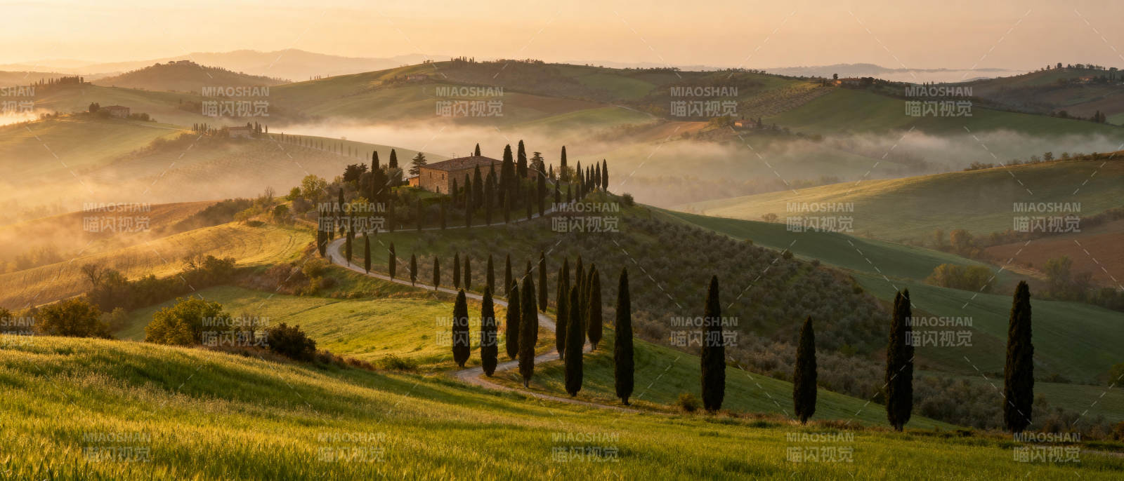 托斯卡纳晨曦图片